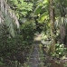 trail_mandicocha_la_v_0298_ecu1013.jpg